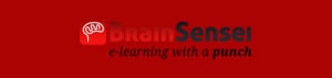 Brain Sensei logo