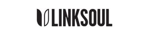 LinkSoul logo