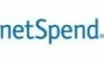Net Spend logo