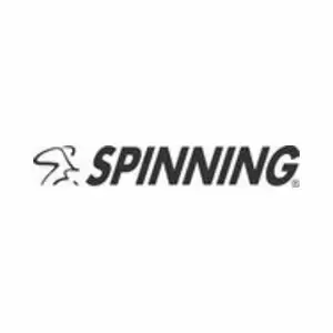 Spinning logo