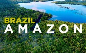 Ecological Adventures in Brazil's Amazon Rainforest
