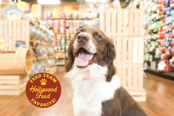 Hollywood Feed