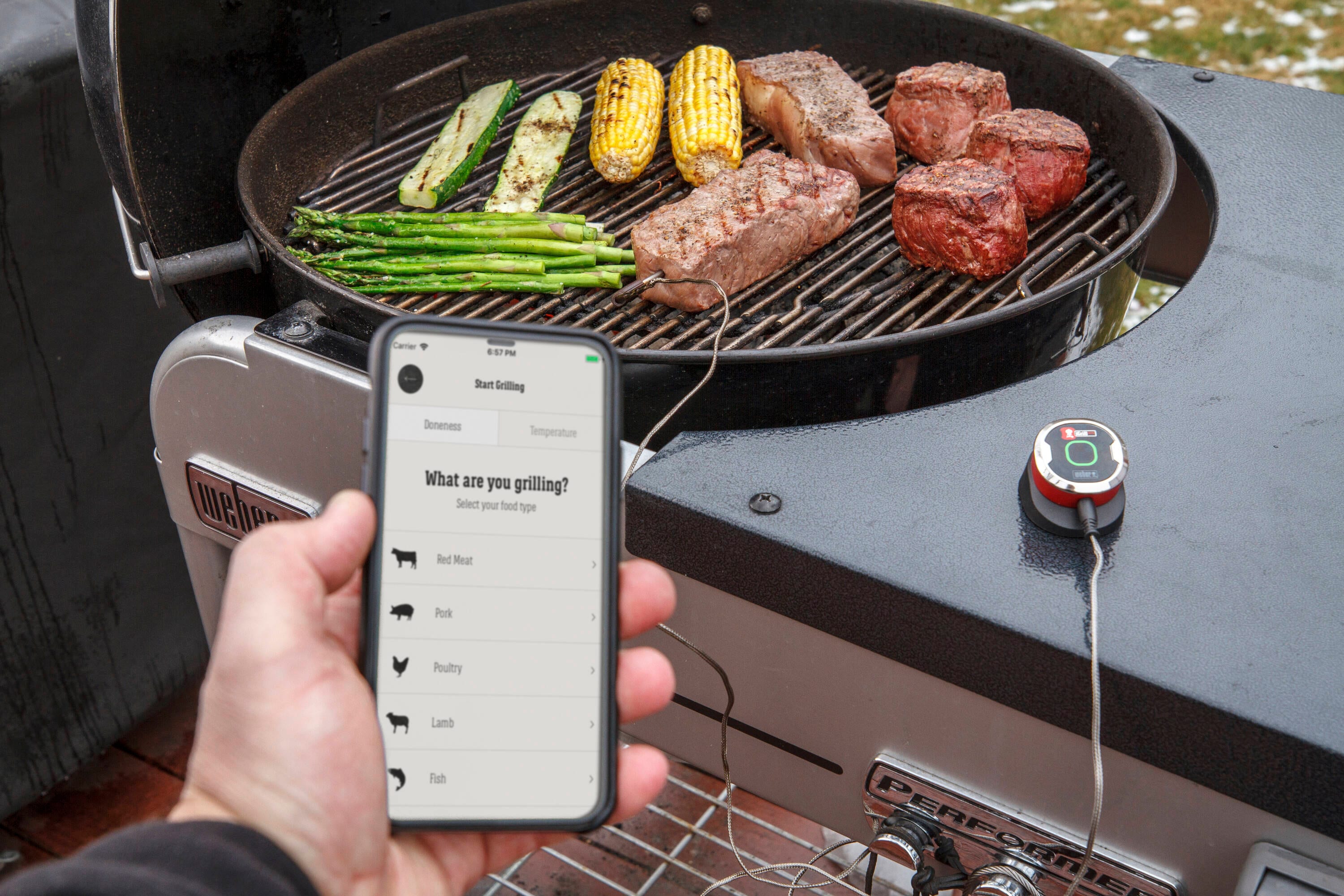 iGrill Mini